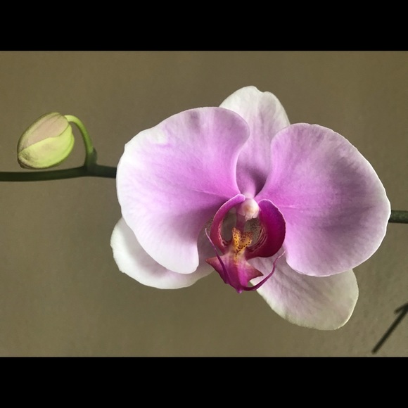 Meet your Posher, Kool Stuffs - Picture 1 of 1